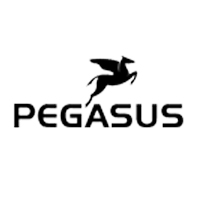 pegasus