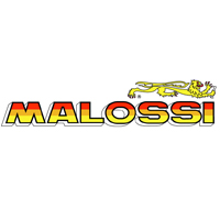 Malossi